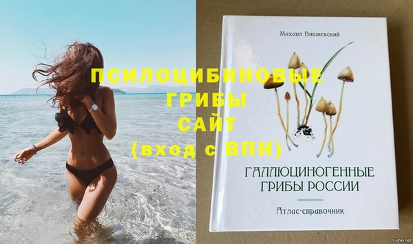 спиды Беломорск