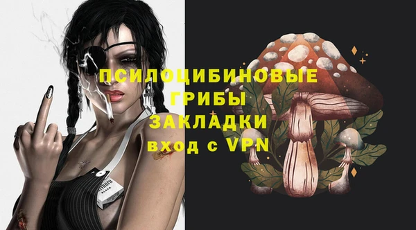 спиды Беломорск